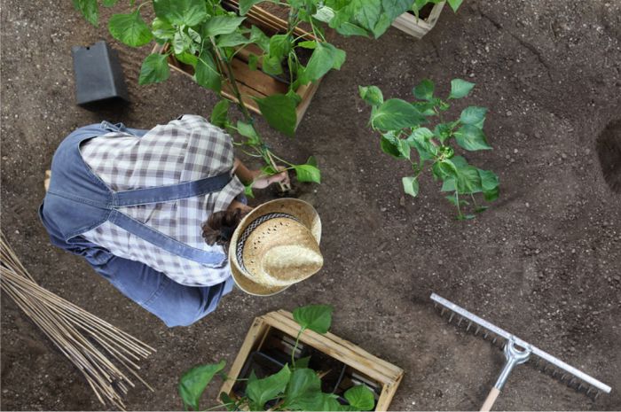 Why Chandler Agribusiness