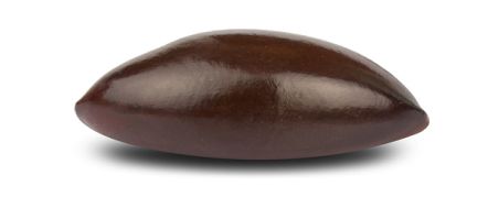 Chandler Agribusiness - image - seed 1