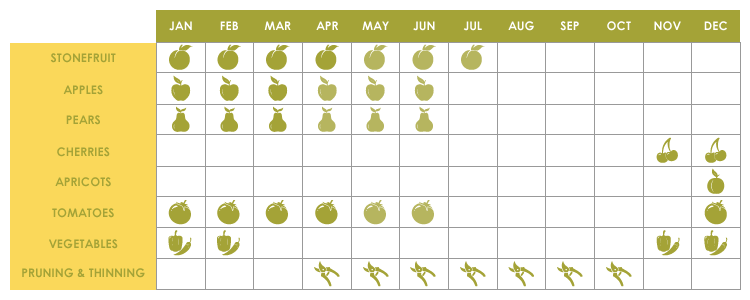 Shepparton picking season